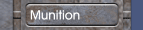 Munition